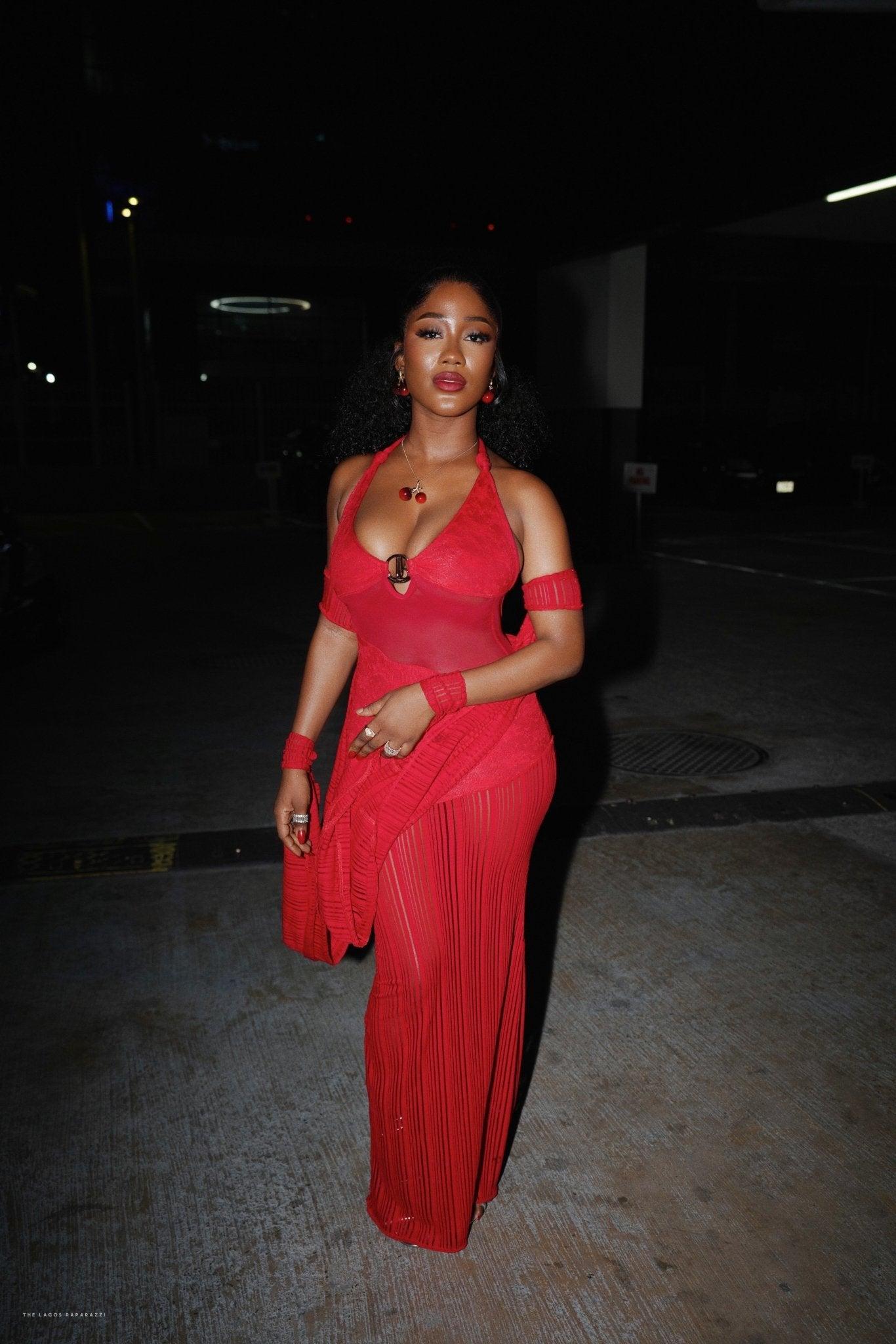 The Lady in Red Dress, view 6